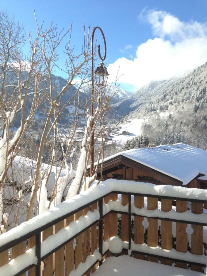 Chalet La Grande Vue Saint-Jean-dʼAulps